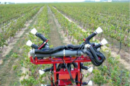 Atomizador Viña E20 Vine Boom