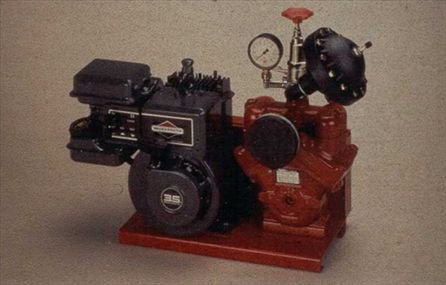 Pulverizador Motorizado UN