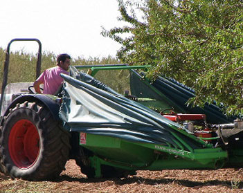 Recolector Trasero de Almendra
